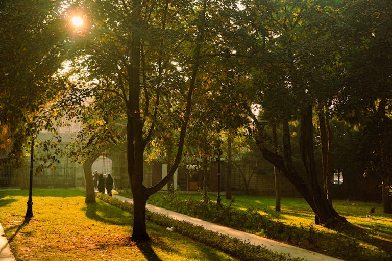The Healing Power of the Sun